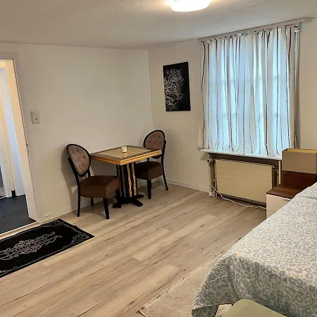 Apartment Newly Renovated Stylish & Spacious Huttwil