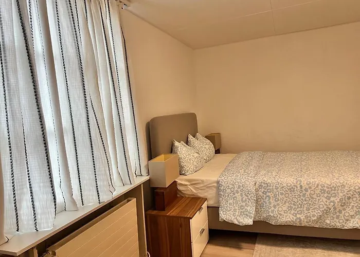 Newly Renovated Stylish & Spacious